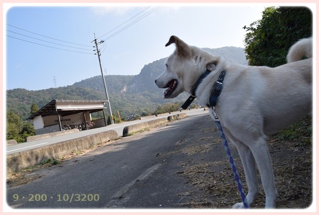 f:id:yasukazu01:20151024104830j:image