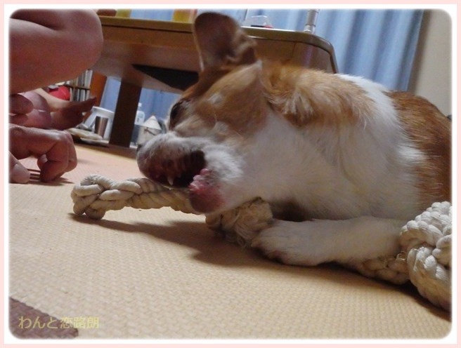 f:id:yasukazu01:20151024110132j:image