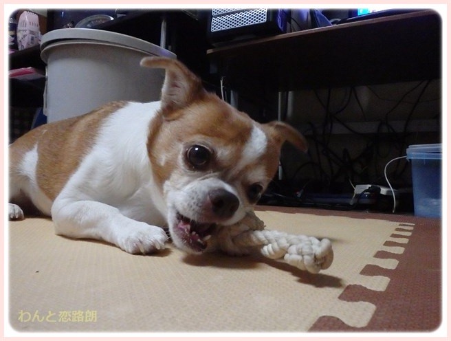 f:id:yasukazu01:20151024110340j:image