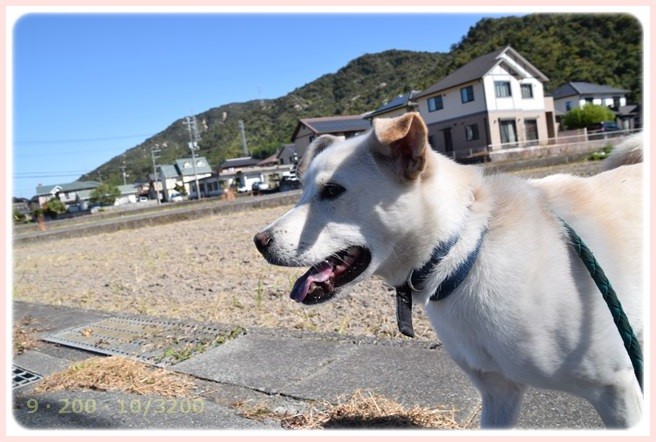 f:id:yasukazu01:20151025191101j:image