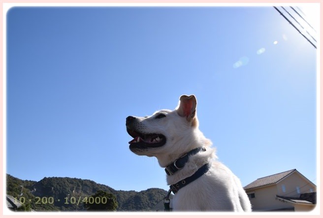 f:id:yasukazu01:20151025191224j:image
