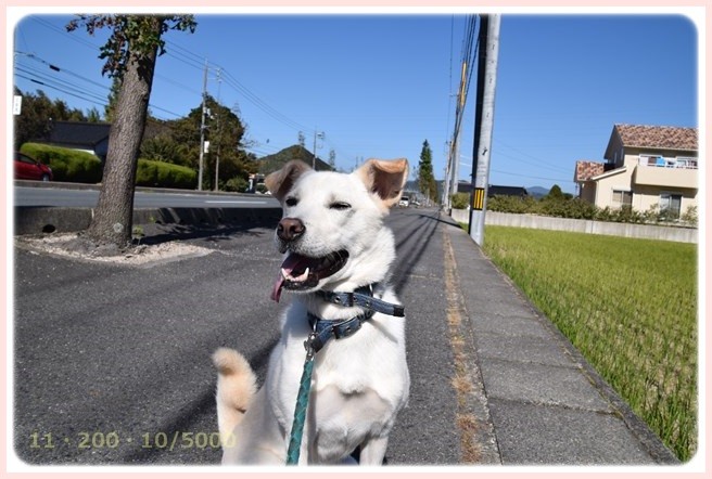 f:id:yasukazu01:20151025191434j:image
