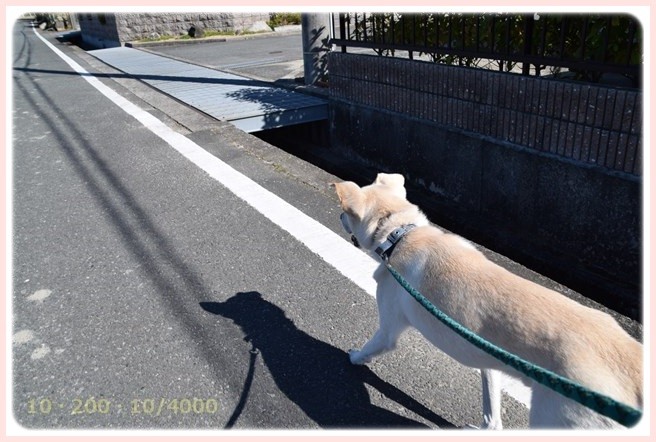 f:id:yasukazu01:20151025191504j:image