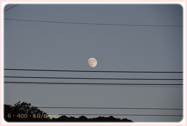 f:id:yasukazu01:20151025192440j:image