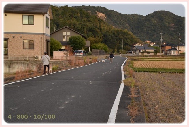 f:id:yasukazu01:20151025192927j:image