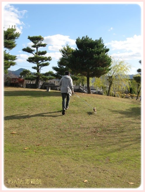 f:id:yasukazu01:20151029184954j:image