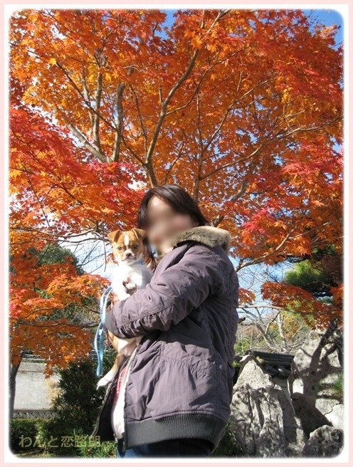f:id:yasukazu01:20151029185714j:image