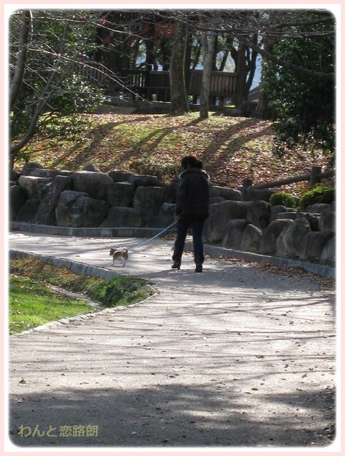 f:id:yasukazu01:20151029185827j:image