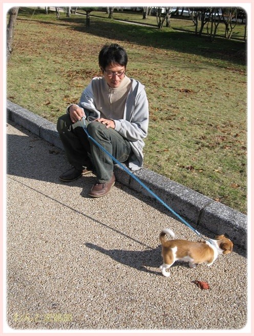 f:id:yasukazu01:20151029190034j:image
