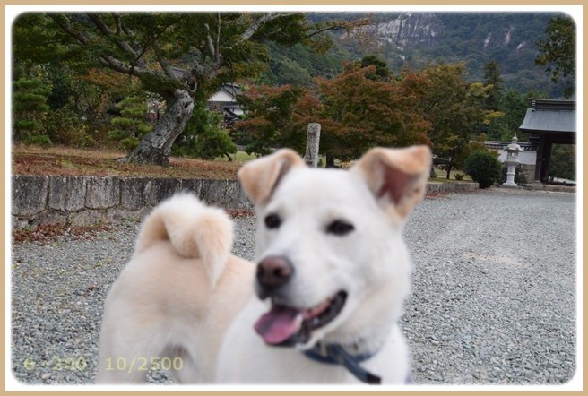 f:id:yasukazu01:20151101212144j:image