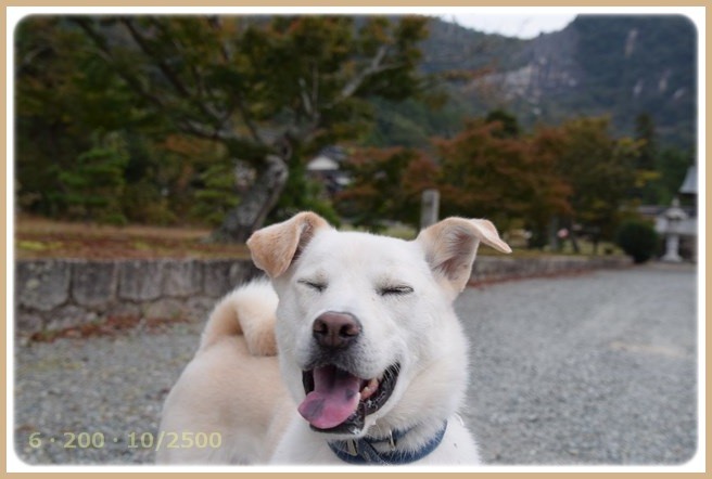 f:id:yasukazu01:20151101212212j:image