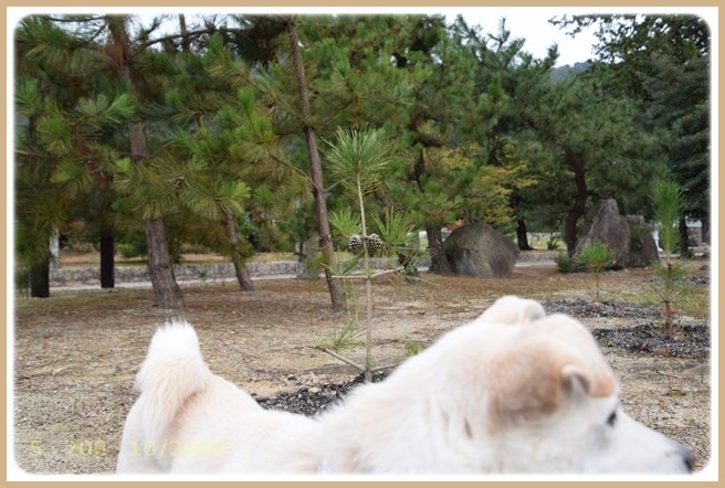 f:id:yasukazu01:20151101212342j:image