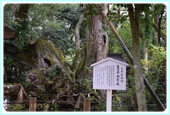 f:id:yasukazu01:20151115215218j:image