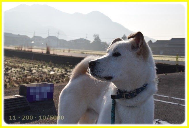 f:id:yasukazu01:20151201192600j:image