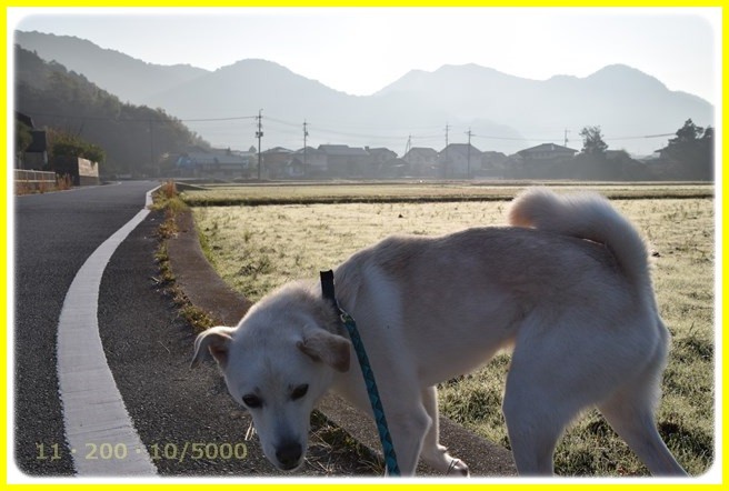 f:id:yasukazu01:20151201192931j:image