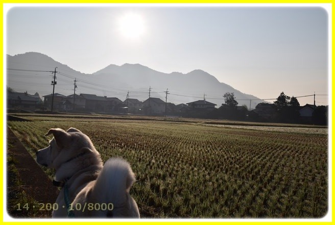 f:id:yasukazu01:20151201193033j:image