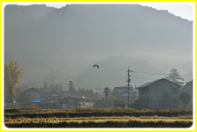 f:id:yasukazu01:20151201193409j:image