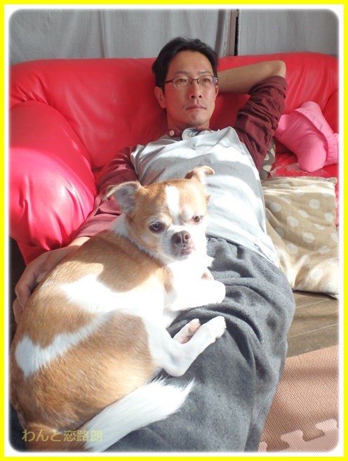f:id:yasukazu01:20151201193720j:image