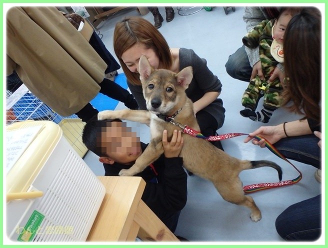 f:id:yasukazu01:20151208193643j:image