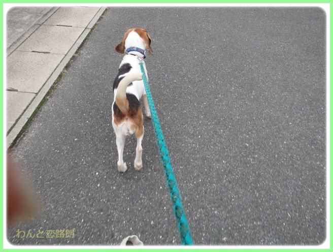 f:id:yasukazu01:20151208194613j:image