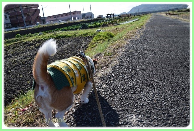 f:id:yasukazu01:20151219195741j:image