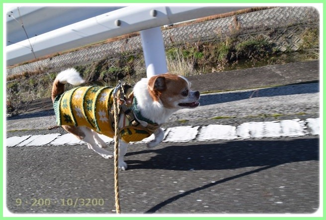 f:id:yasukazu01:20151219200133j:image
