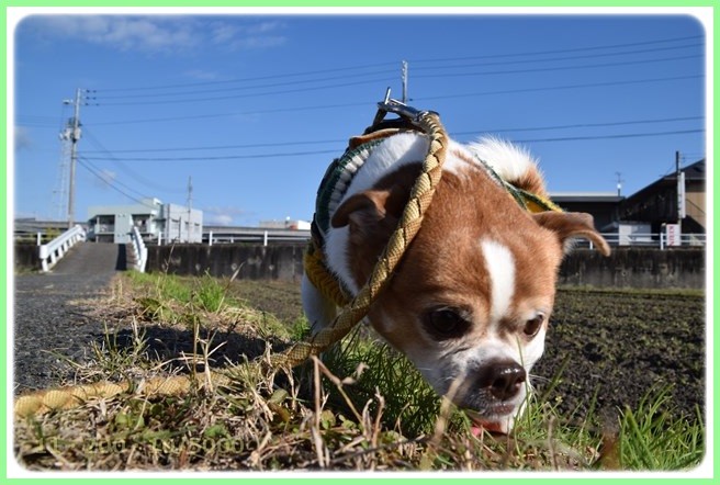 f:id:yasukazu01:20151219200307j:image