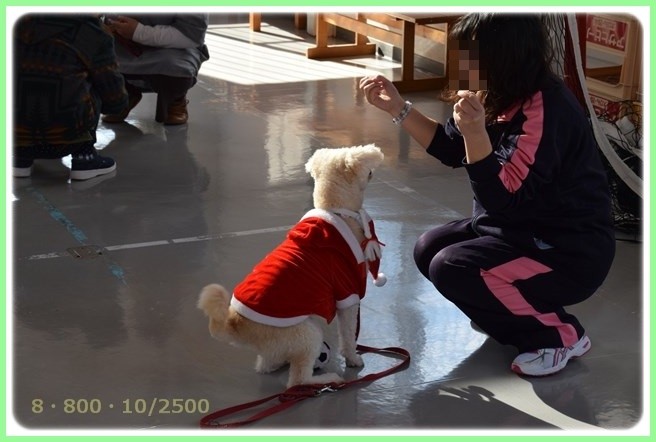 f:id:yasukazu01:20151219201403j:image