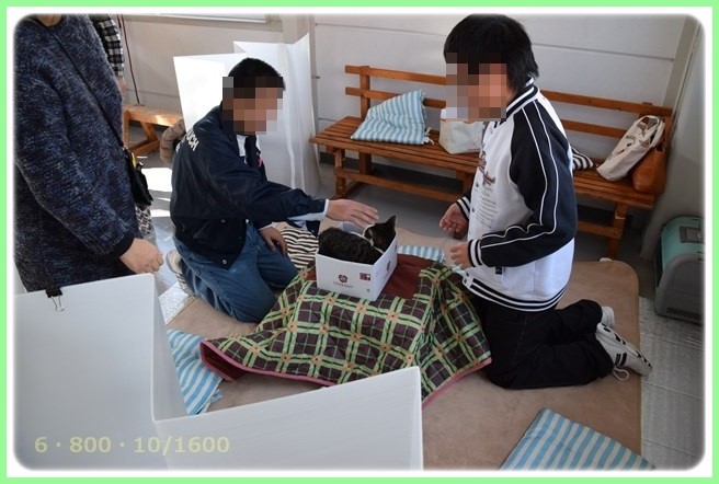 f:id:yasukazu01:20151219201606j:image