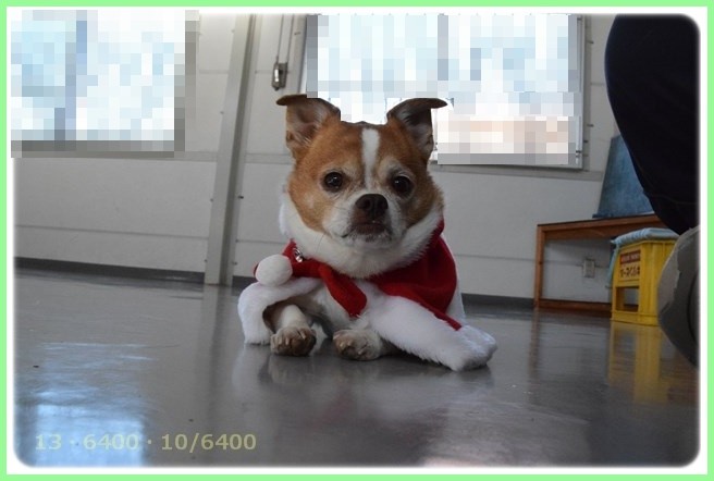 f:id:yasukazu01:20151219201907j:image