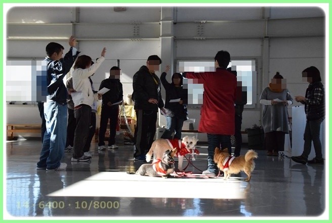 f:id:yasukazu01:20151219202026j:image