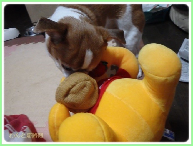 f:id:yasukazu01:20151219202438j:image