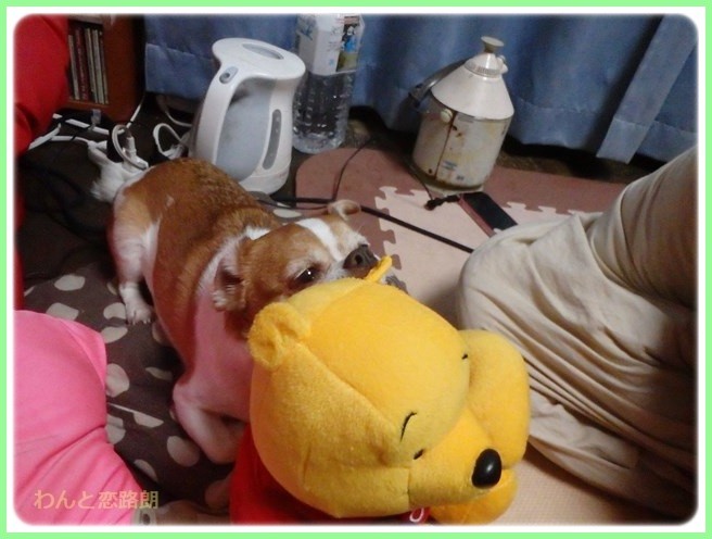 f:id:yasukazu01:20151219202512j:image