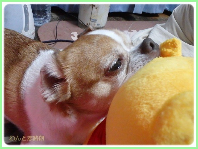 f:id:yasukazu01:20151219202551j:image