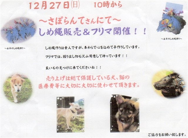 f:id:yasukazu01:20151219204300j:image