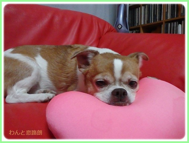 f:id:yasukazu01:20151223214024j:image