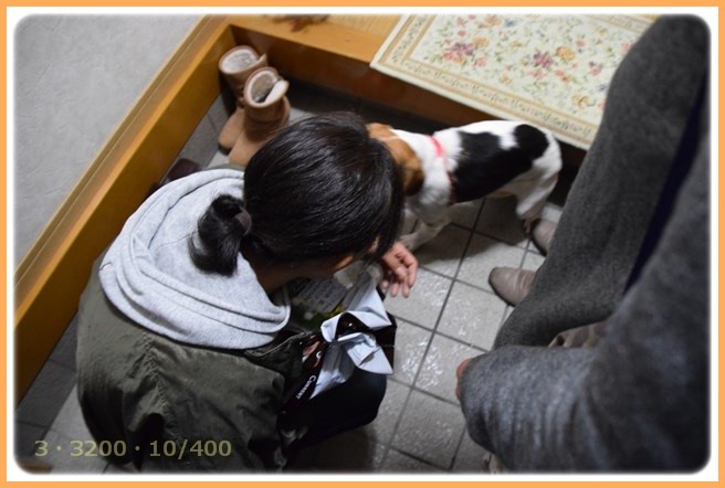 f:id:yasukazu01:20151223214711j:image