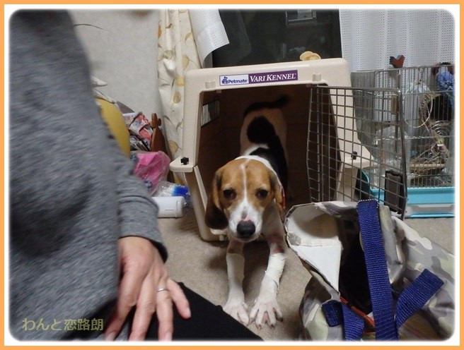 f:id:yasukazu01:20151223215044j:image