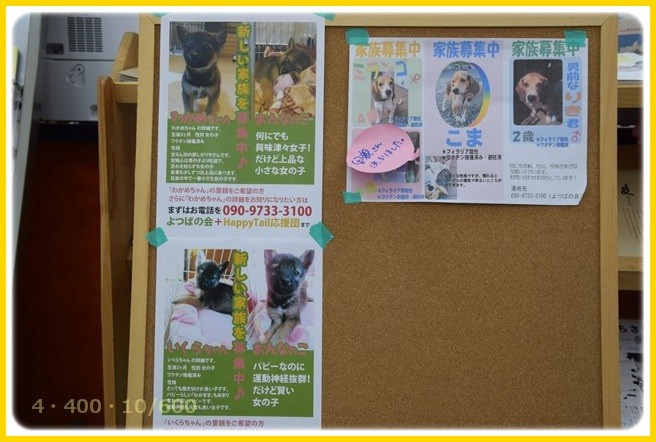 f:id:yasukazu01:20151227201136j:image
