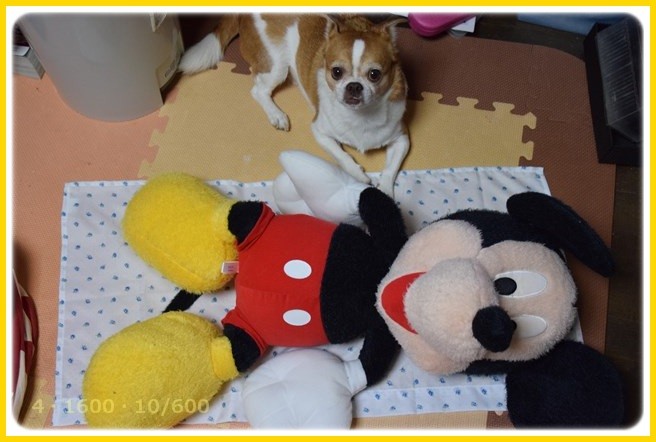 f:id:yasukazu01:20151227213918j:image