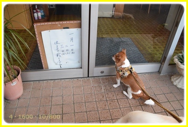 f:id:yasukazu01:20160102175828j:image f:id:yasukazu01:20160102175828j:image