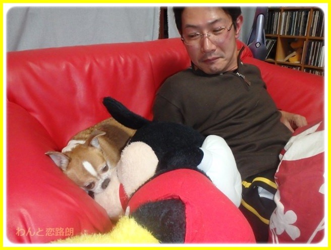 f:id:yasukazu01:20160103200321j:image f:id:yasukazu01:20160103200321j:image