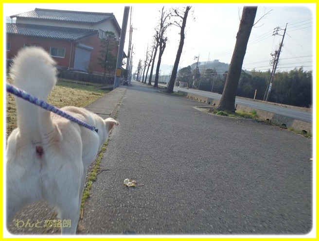 f:id:yasukazu01:20160111192627j:image f:id:yasukazu01:20160111192627j:image