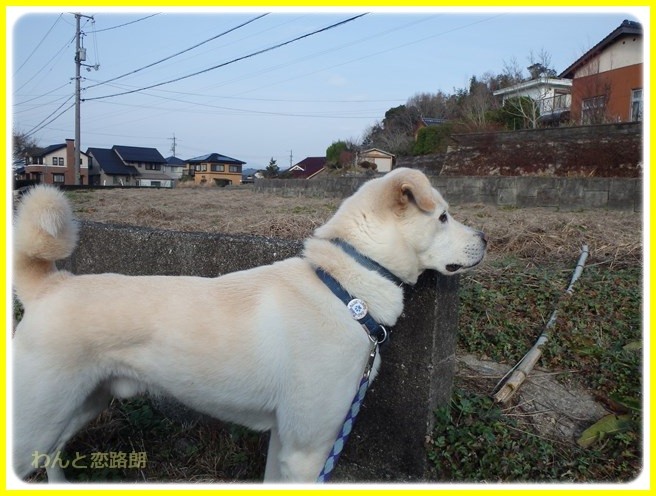f:id:yasukazu01:20160111193121j:image f:id:yasukazu01:20160111193121j:image