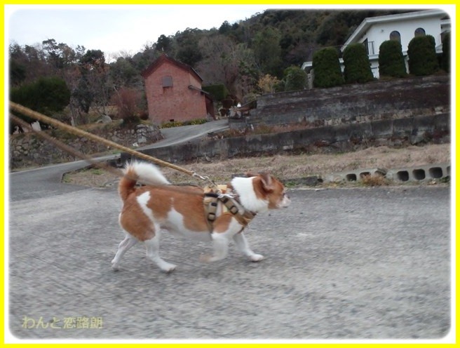 f:id:yasukazu01:20160111193606j:image f:id:yasukazu01:20160111193606j:image