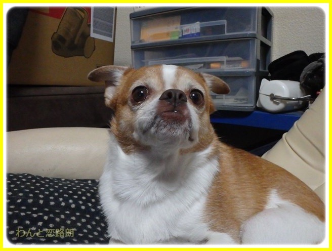 f:id:yasukazu01:20160111193926j:image f:id:yasukazu01:20160111193926j:image