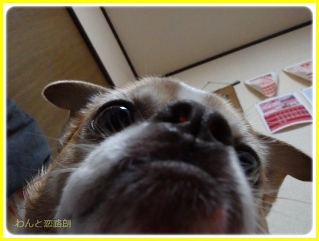 f:id:yasukazu01:20160111194140j:image f:id:yasukazu01:20160111194140j:image