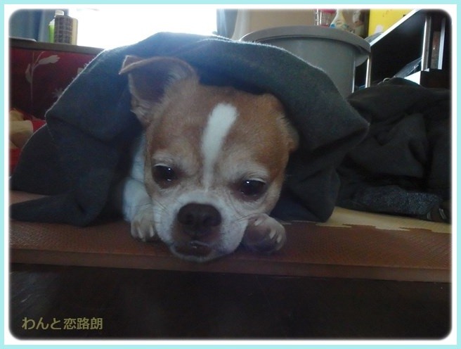 f:id:yasukazu01:20160114192542j:image