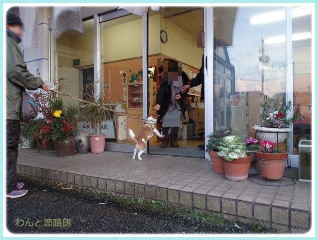 f:id:yasukazu01:20160114193117j:image