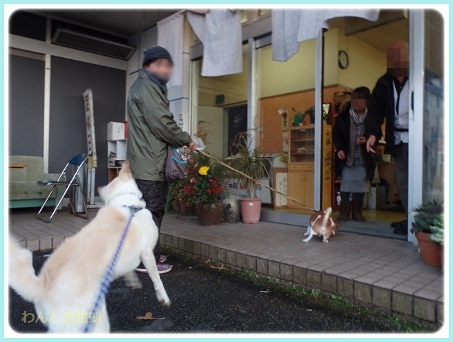 f:id:yasukazu01:20160114193353j:image